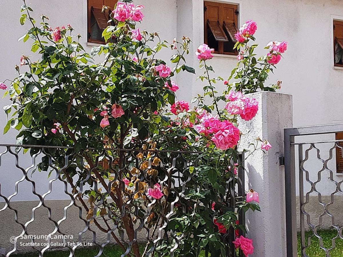 B&B Anna Rovere della Luna Екстериор снимка