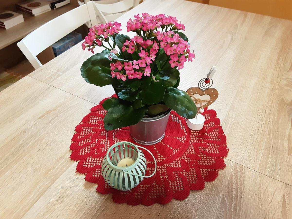 B&B Anna Rovere della Luna Екстериор снимка